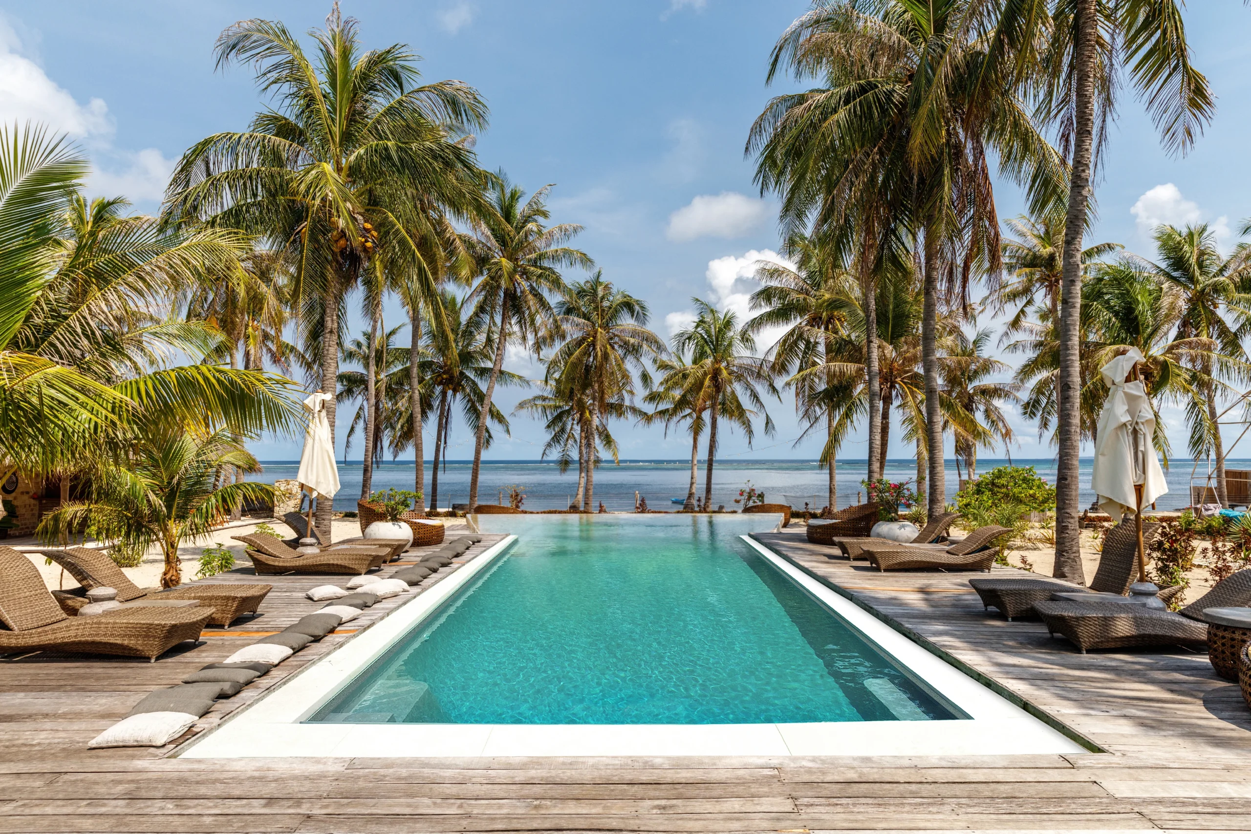 Tropical - Imagen 7