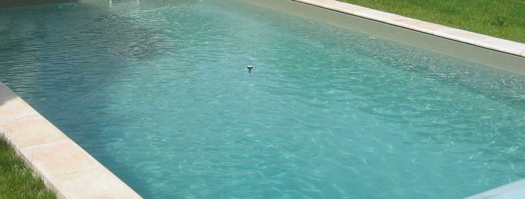 Olive - Imagen 2